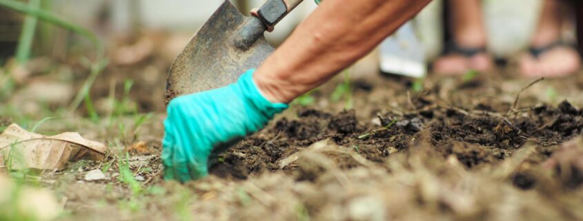 Mulch Landscaping 101 Benefits and Potential Hazards