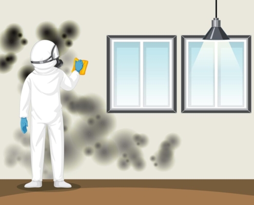 Keep Basements Dry: Mold Control Guide
