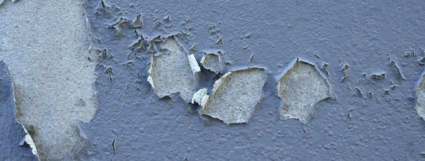 Signs Your Milwaukee Basement Needs Waterproofing Now